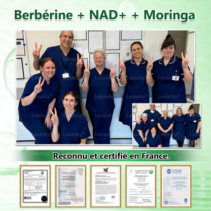 Magasin Officiel | 𝐋𝐞𝐱𝐚𝐬𝐤𝐲® Moringa & Bérbérine 10-en-1 Patch Nanomicro-aiguilles Avancé👩‍⚕️ (Une application quotidienne, résultats visibles en 7 jours) ✅ Obésité, Diabète, Apnée du sommeil, Problèmes articulaires🪴